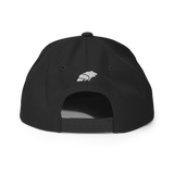 Titan Logo Snapback Hat