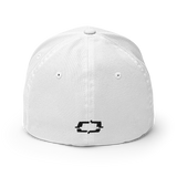 Potvin Koho Revolution FlexFit Hat