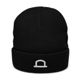 Crease Icon Recycled Beanie