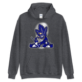 SportNics Classics Toronto Hoodie