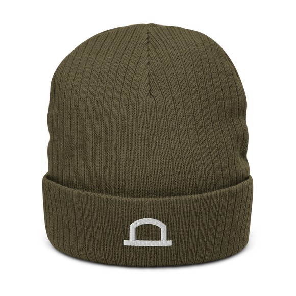 Crease Icon Recycled Beanie